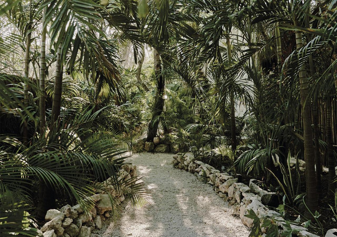 Una Vida Tulum Luaran gambar